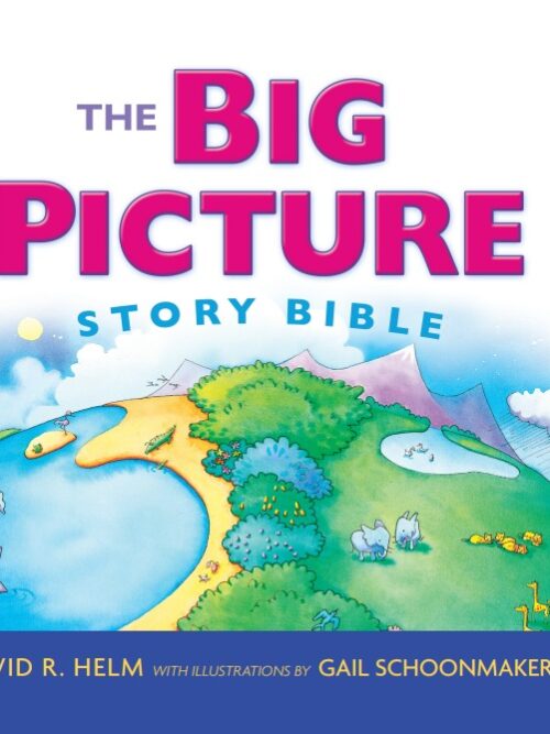 The Big Picture Story Bible